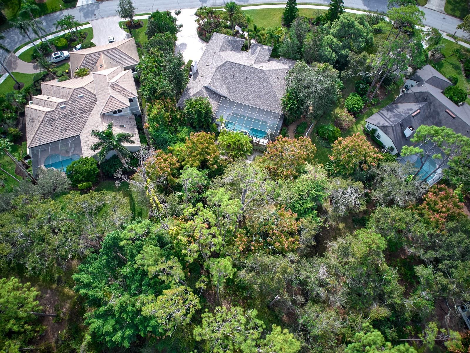 7754 Silver Bell Drive