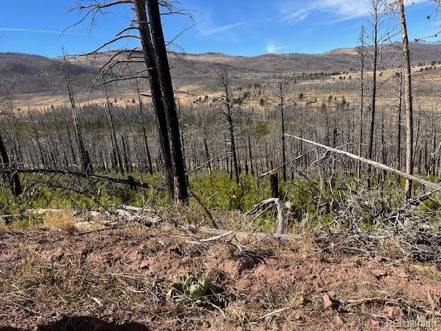 Lot 1741 Mathlide Place