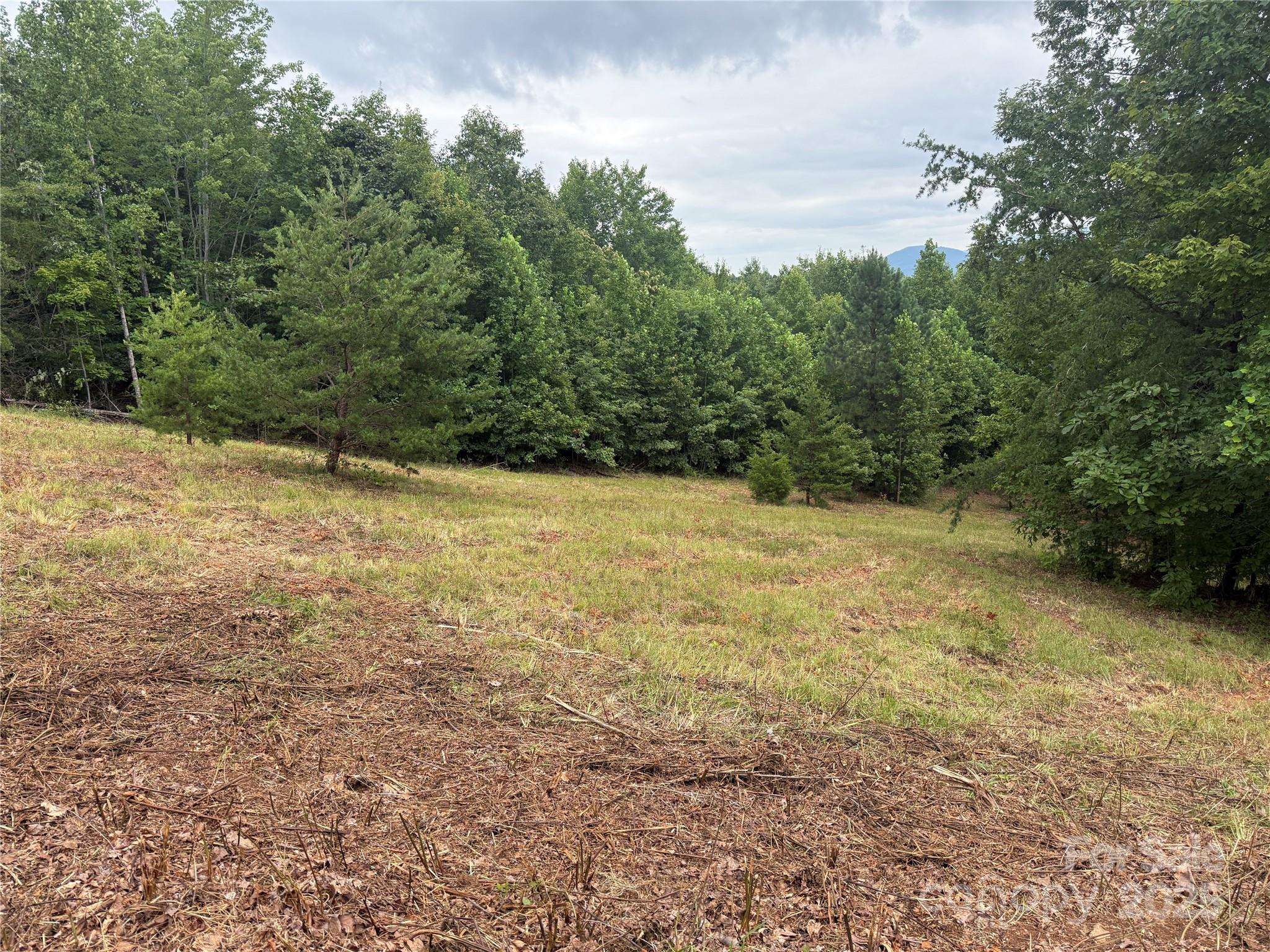 166 Coal Pit Mountain Drive 359