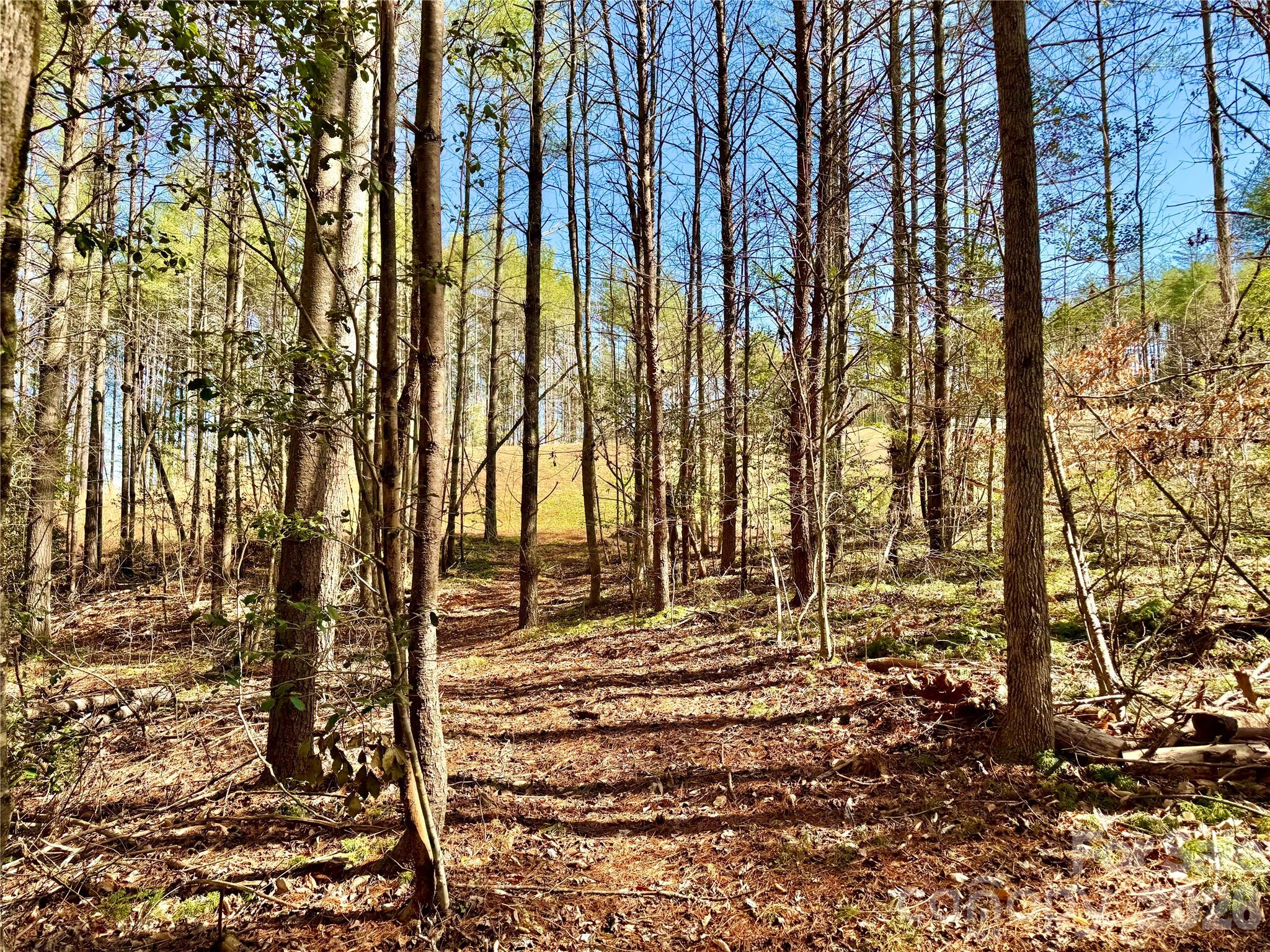 6129 Painted Ridge Trail Lot 739