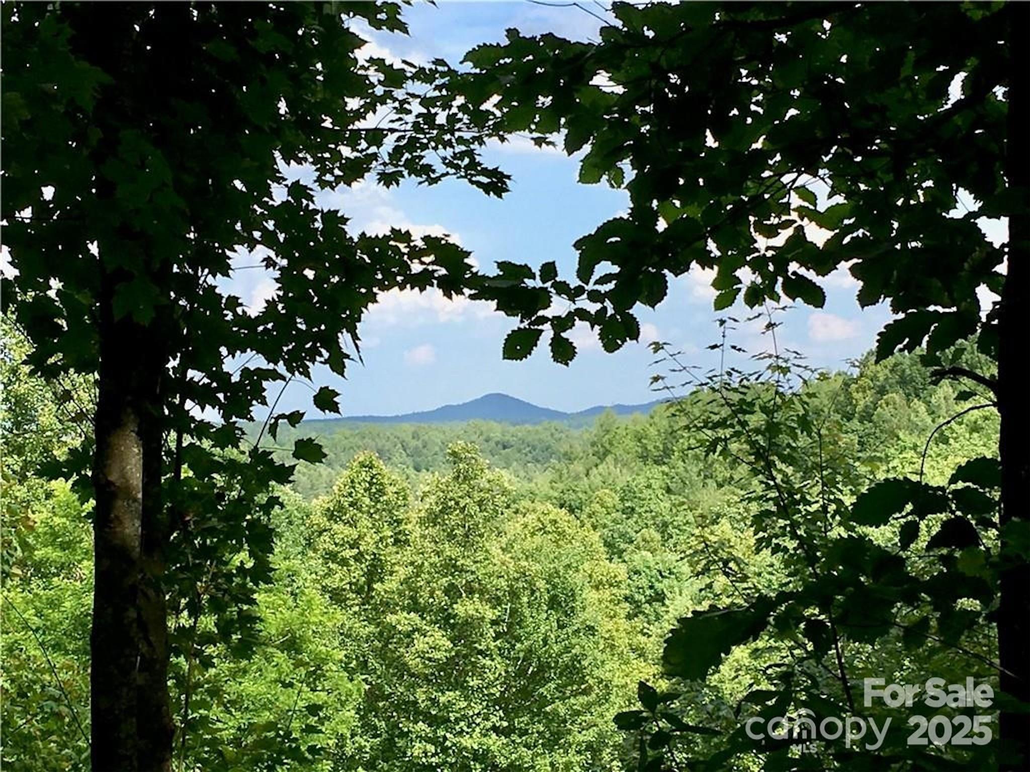 Lot 44 Round Mountain Parkway Lot 44