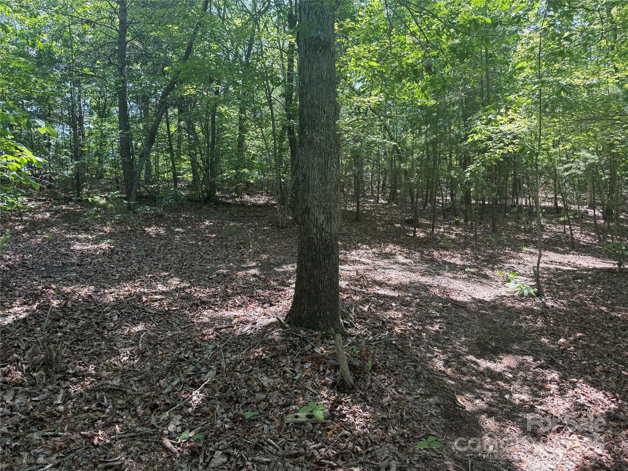 0 Crescent Ridge Lane 373
