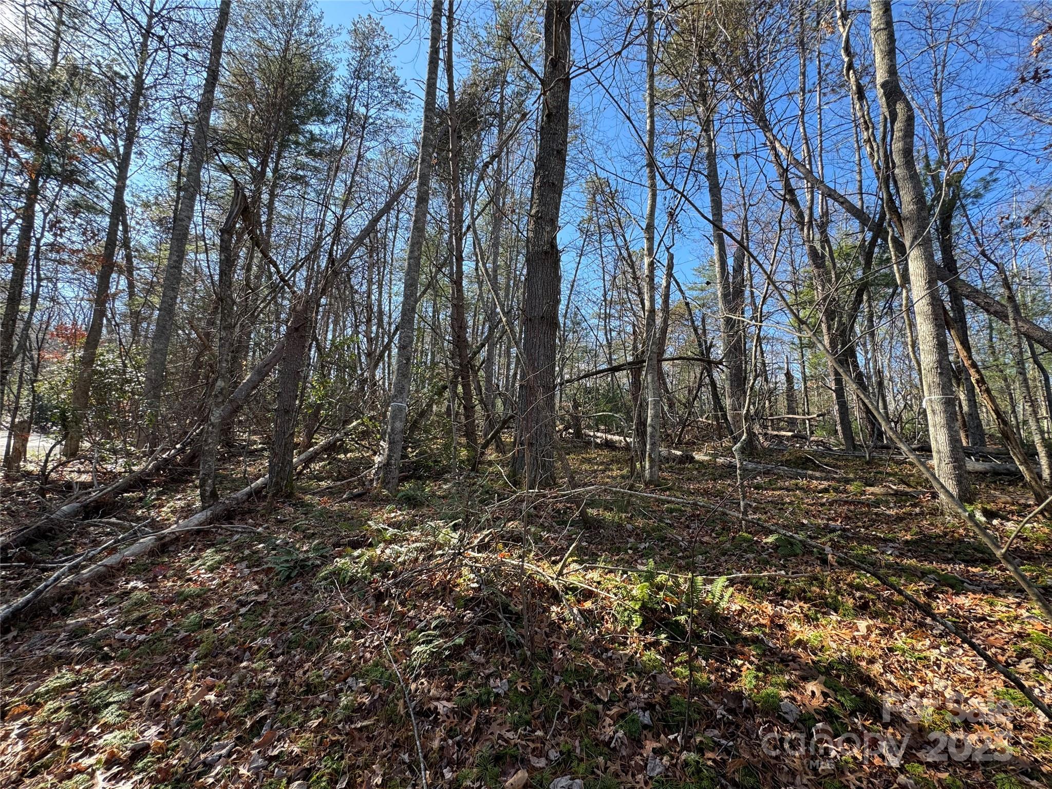 137 Nancy Ashworth Lane 13