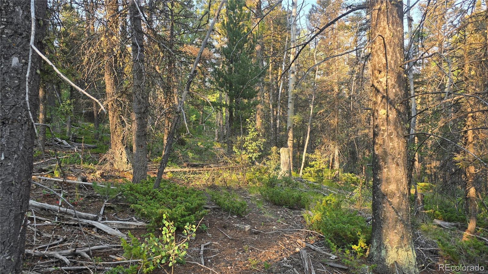 Lot 5768 Clawson Road