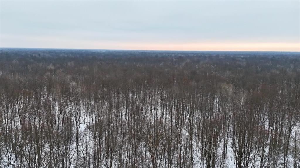 This 40 +/- acre timber tract offers a solid foundation for recreation and a potential future build site. The property is primarily wooded, providing natural beauty, wildlife habitat and a clean, blank slate for shaping the land into your own vision. Whether your goals include hunting, outdoor recreation or establishing a year-round homestead, this acreage gives you a strong starting point to develop the property the way you prefer.While walking the land, the amount of deer sign was immediately noticeable. Well-defined trails weave throughout the timber, and several deer were jumped multiple times during the visit, a clear indication of steady wildlife use. For those looking to create a personalized hunting or recreational property, this tract is well-suited for it. With natural movement already established, a few simple improvements such as adding a trail system, carving out food plots or hinge cutting select areas for bedding would only strengthen the layout and enhance long-term hunting potential.The property also provides an excellent potential build site. Whether you envision a full-time residence, pole barn or hunting camp, its location makes it especially appealing. Positioned between Mt. Pleasant, Midland and Clare, it offers an ideal blend of rural privacy and convenience, keeping you in the country while still being a short drive from larger amenities, supplies and services. Power is available at the road for added practicality.Altogether, this 40 +/- acre tract combines natural beauty, wildlife activity, habitat improvement potential and a strong building opportunity into a manageable and versatile piece of ground. Its year round usability makes it an attractive option for those wanting a property they can enjoy immediately while still having the ability to shape it into their long term vision. Call Cody Keefer or Chuck Keefer to schedule your private tour at 989-859-6926. Current use is Hunting,Recreational.