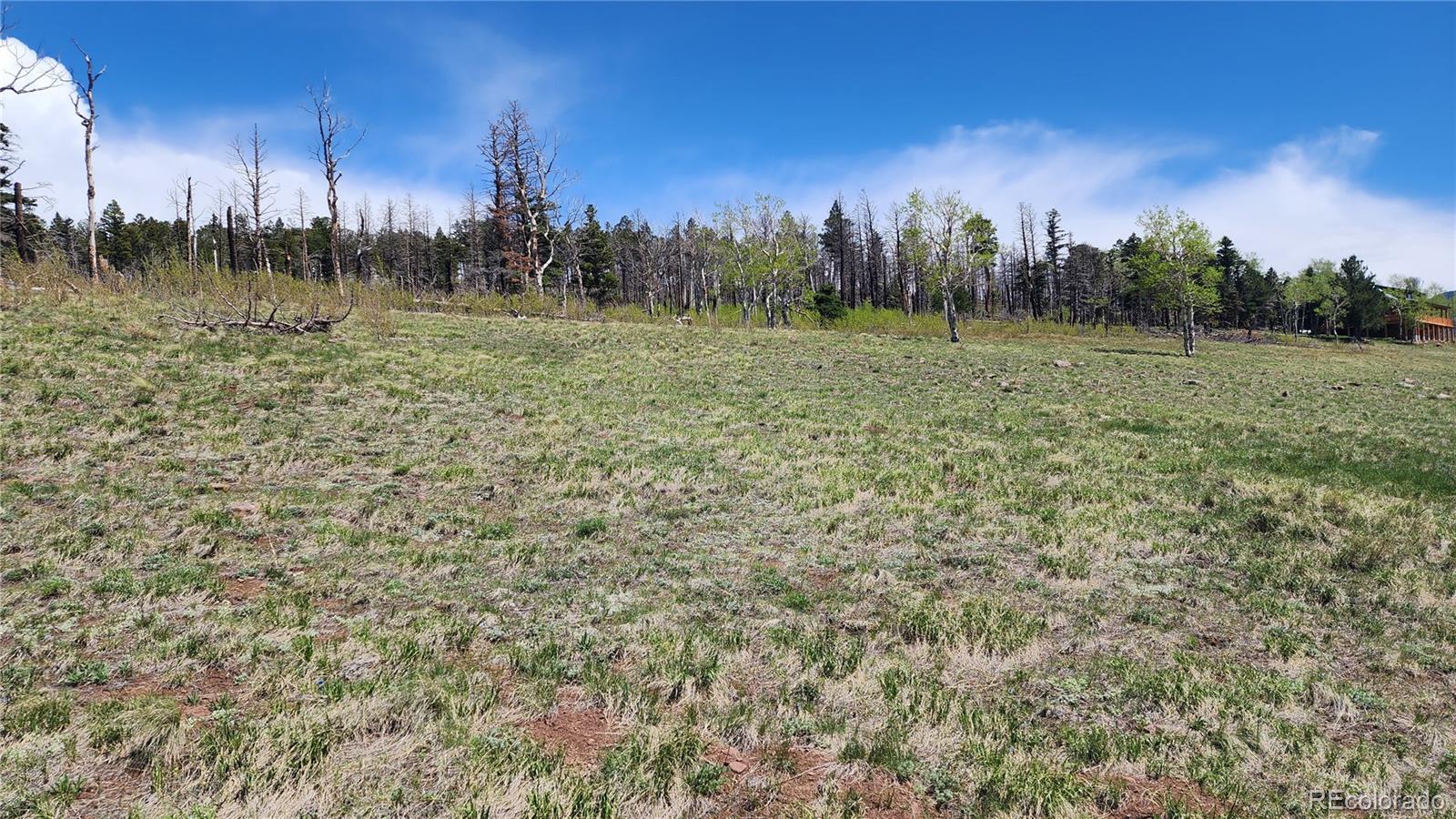 2334 Wohlstetter Loop