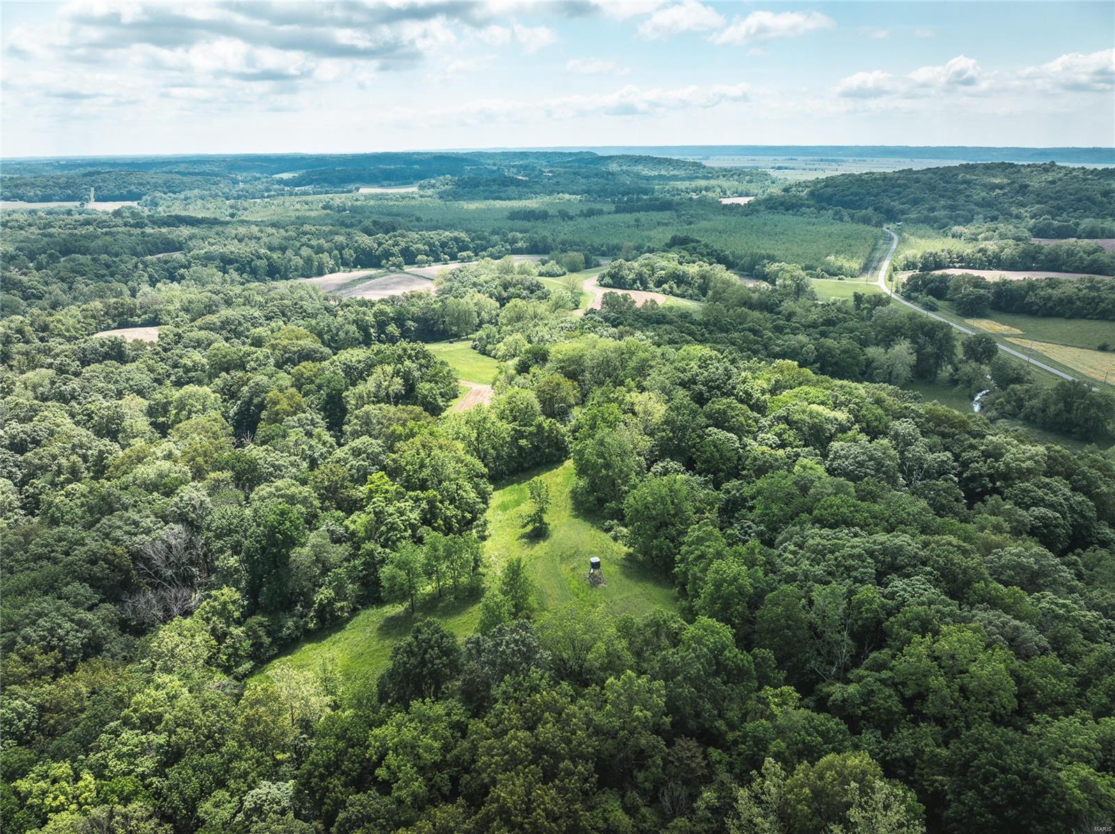 Farms for sale in Eldred, Illinois, 24032990