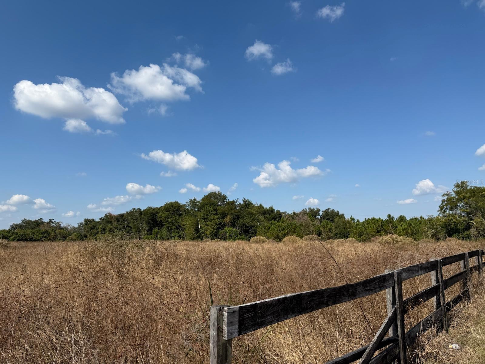 12828 Fort King Highway