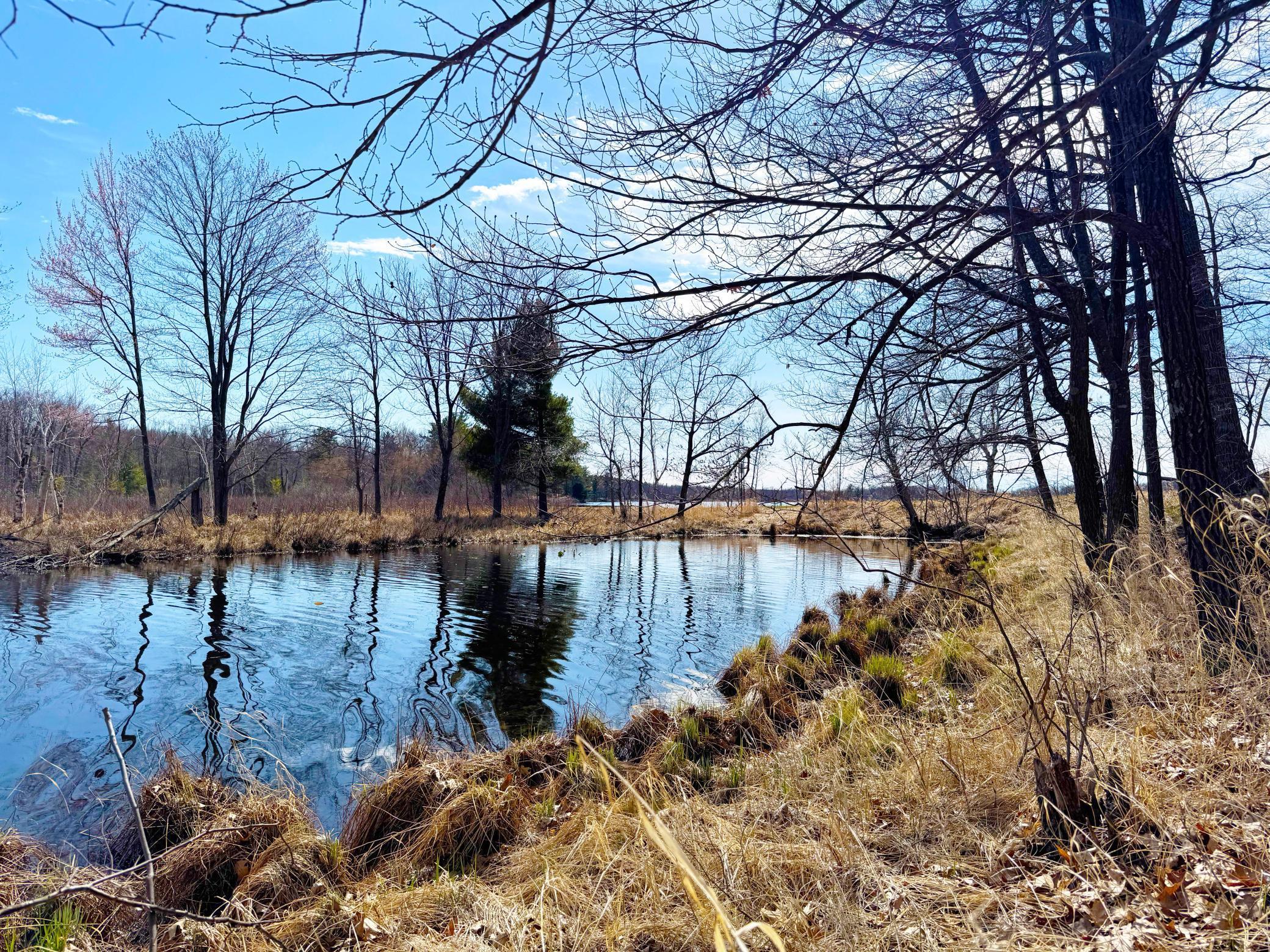 27XXX Greenwood Isle Circle