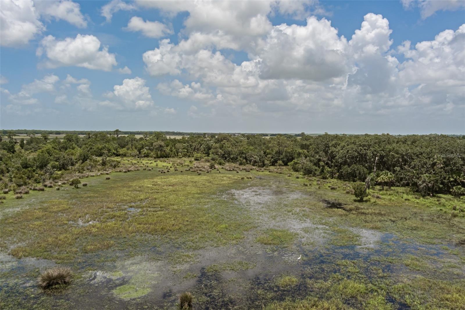 43355 Clay Gully Road