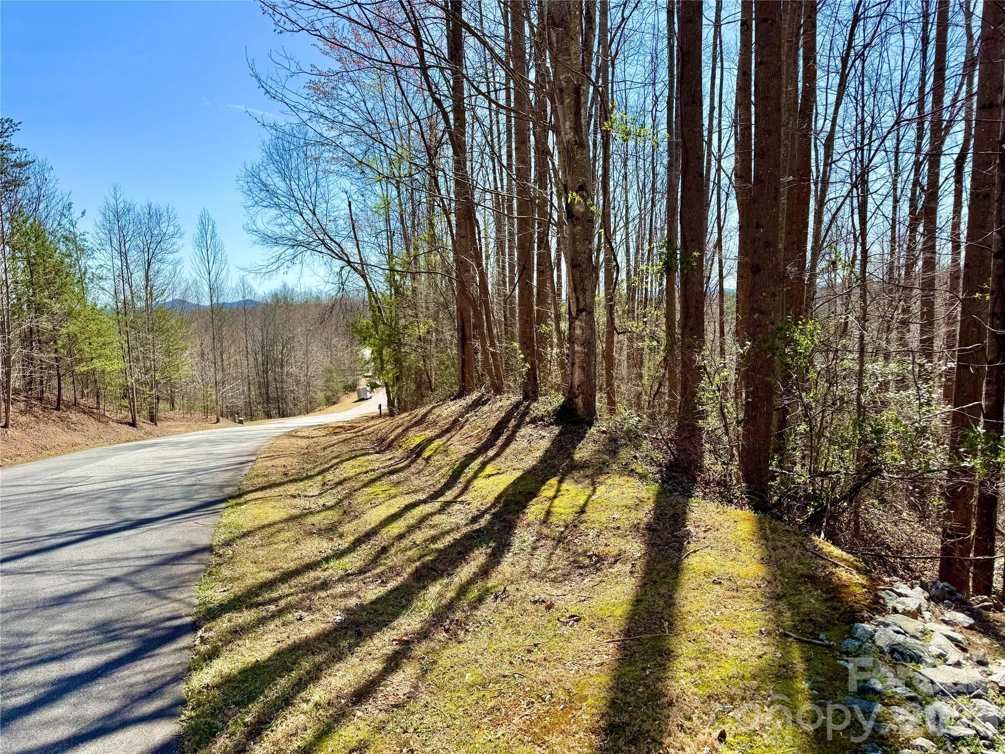 Lot 42, Round Mountain Parkway 42
