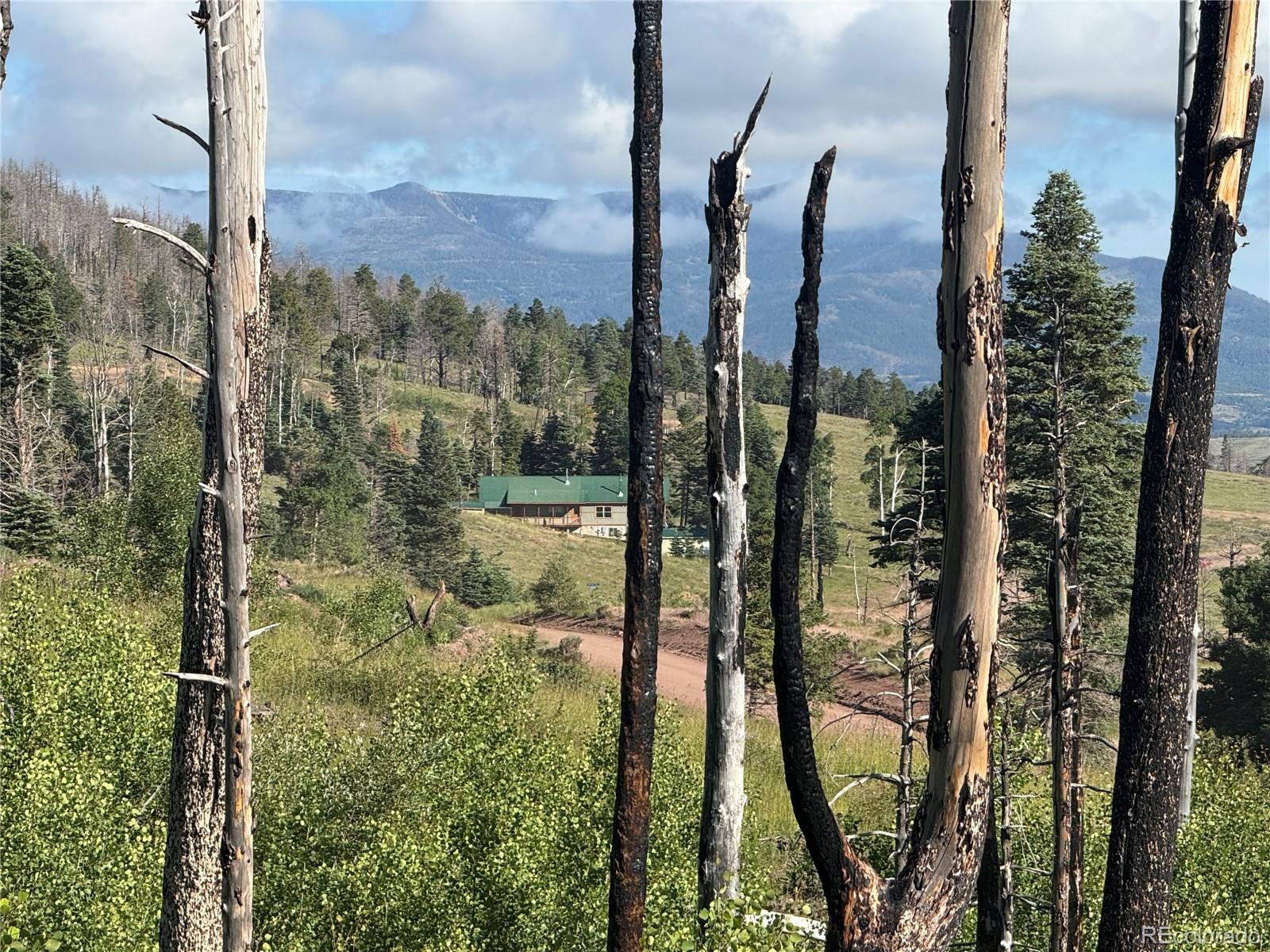 Lot 775 Forbes Park Road