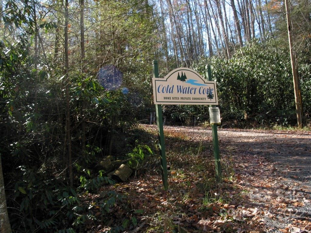 Lot 3 Fiddle Fern Loop