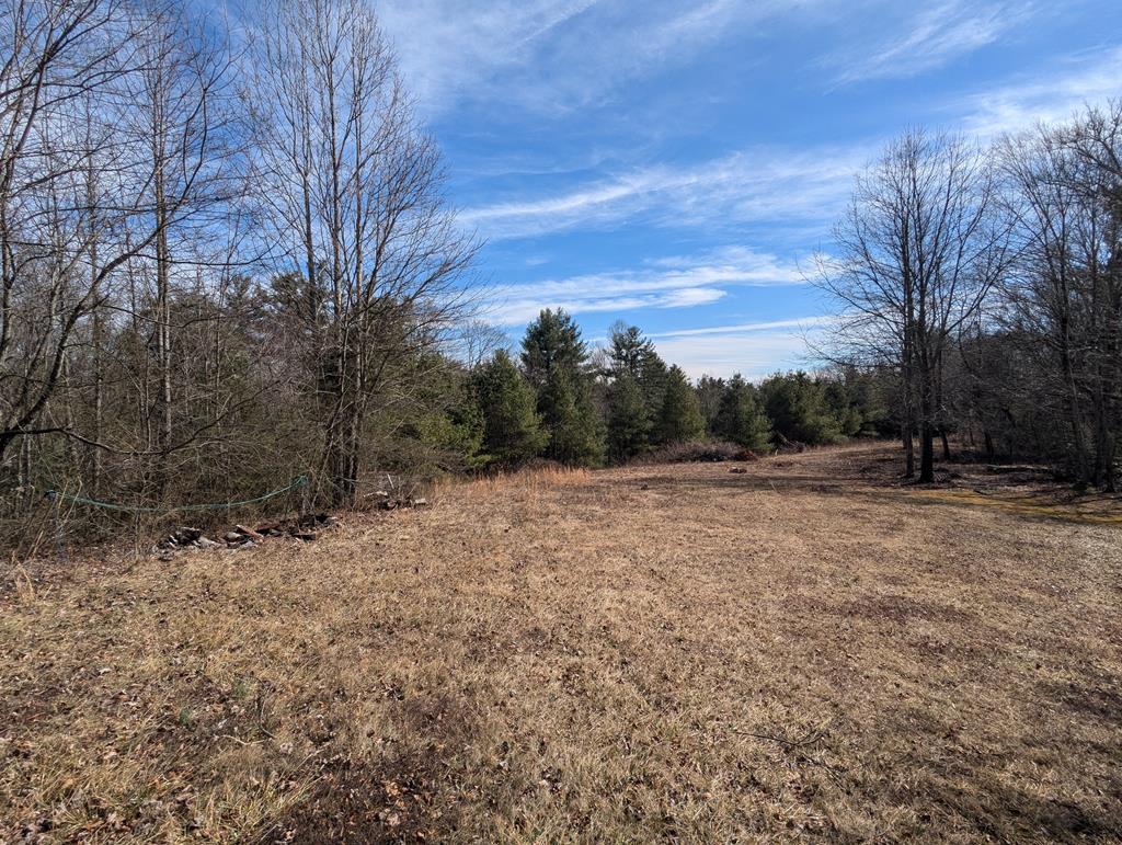 Ready-to-build 2.88 acre tract in Patrick County, VA, located just off the Blue Ridge Parkway. Situated at the end of Continental Dr in a quiet cul-de-sac setting, this property offers a nice mix of open ground and wooded area—ideal for a full-time home, weekend place, or mountain getaway. Enjoy the peace and privacy of a dead-end location with frontage on a state-maintained road, while still being a convenient drive to Hillsville and Meadows of Dan.