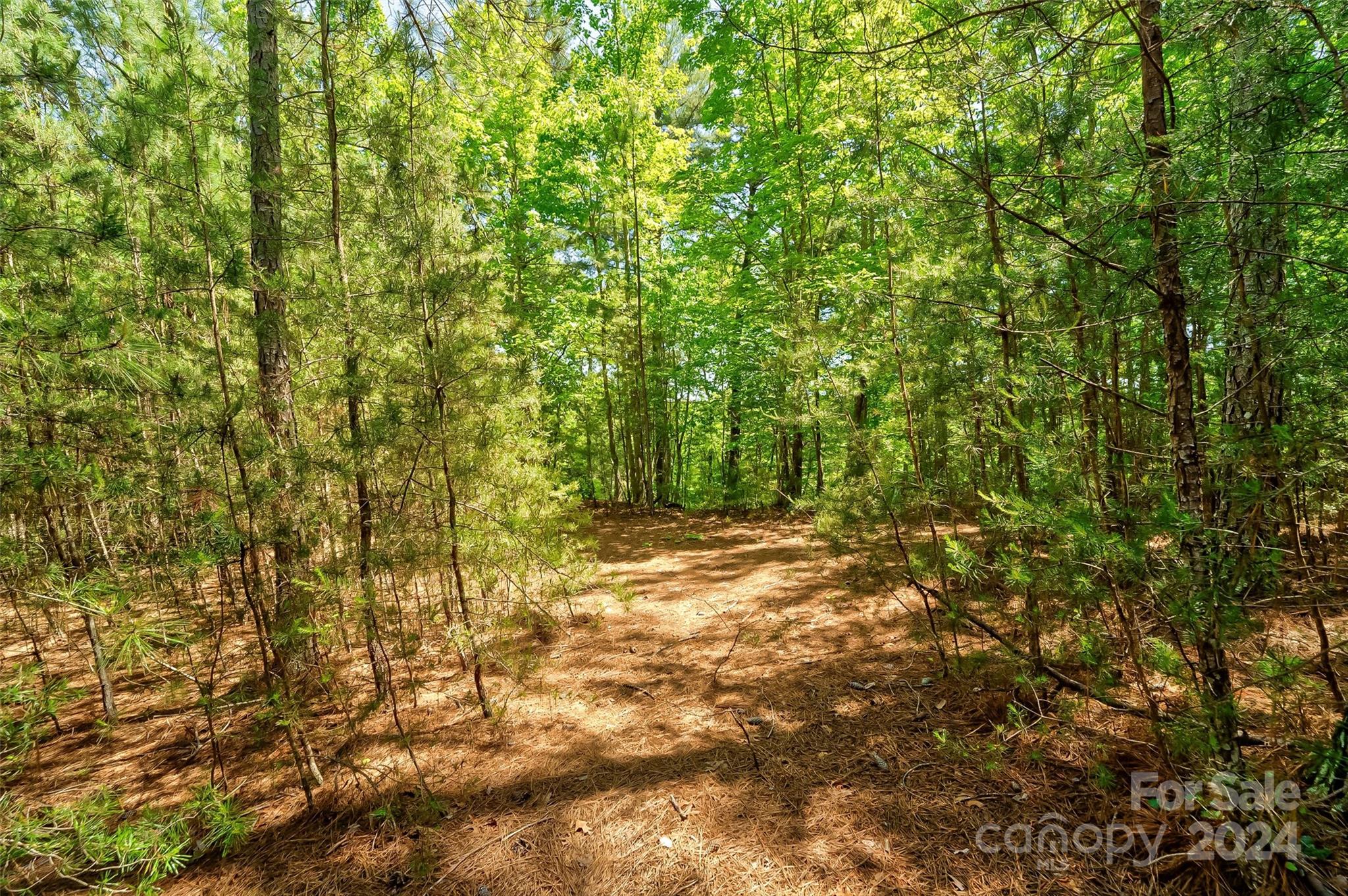 1179 Whispering Woods Drive 34