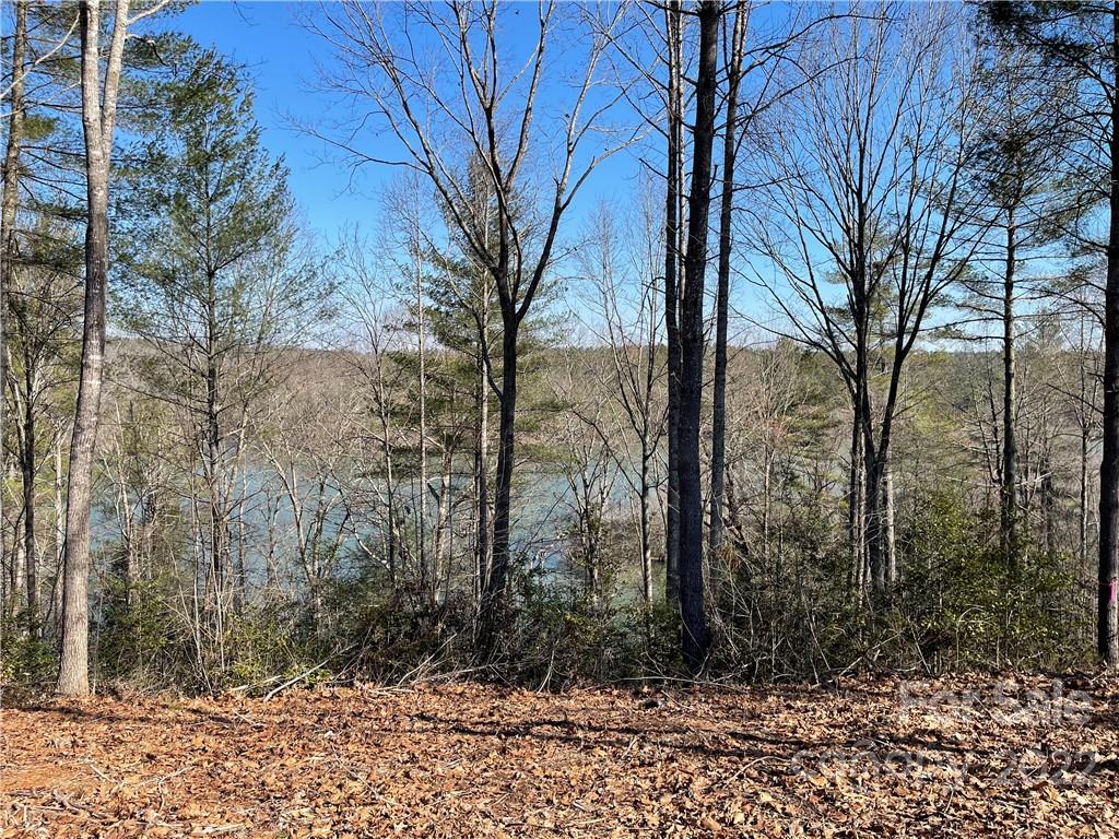 Lake Rhodhiss Lakefront Lots for Sale