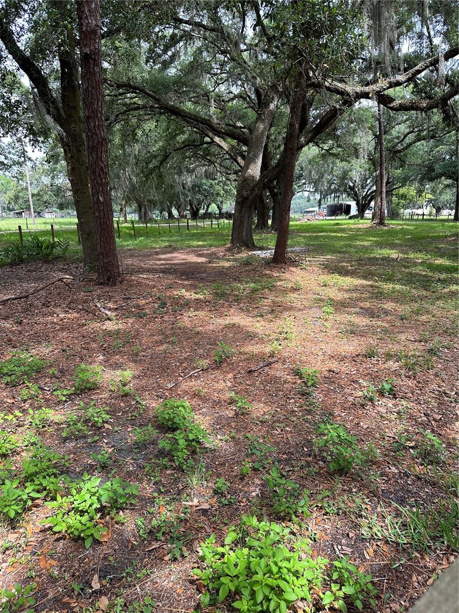 Lanier Road