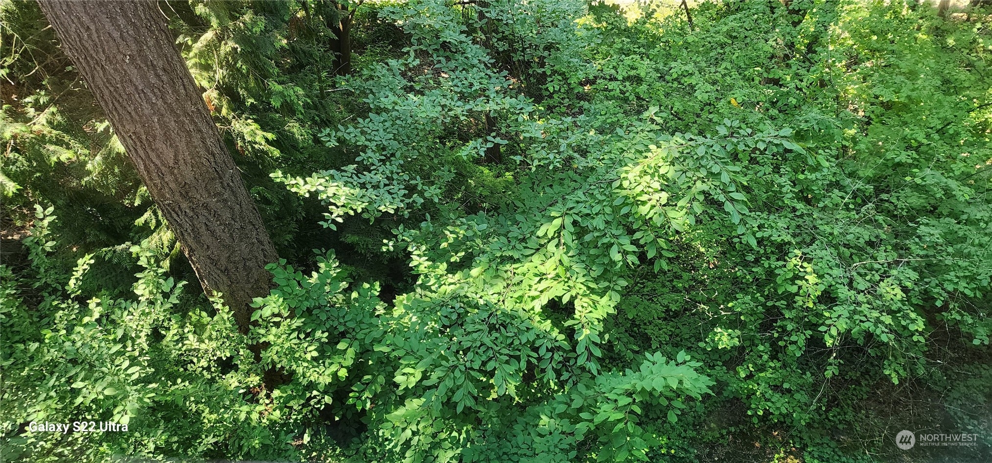 One of the only R6 Zoned lots left in Woodinville. Price is based on 66 units, seller is willing to take developers terms. Throughout the years, many studies have been done but because the seller does not own the studies we do not have copies of them. The seller knows all the results of studies that were done and will share them with a potential developer. Great deal for a developers. Please refer to the flyer attached for more information and feel free to call or email the listing agents.