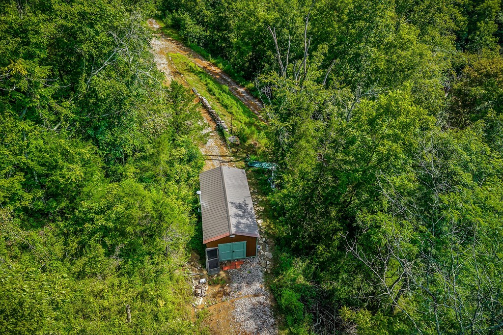 392 Possum Hollow Rd