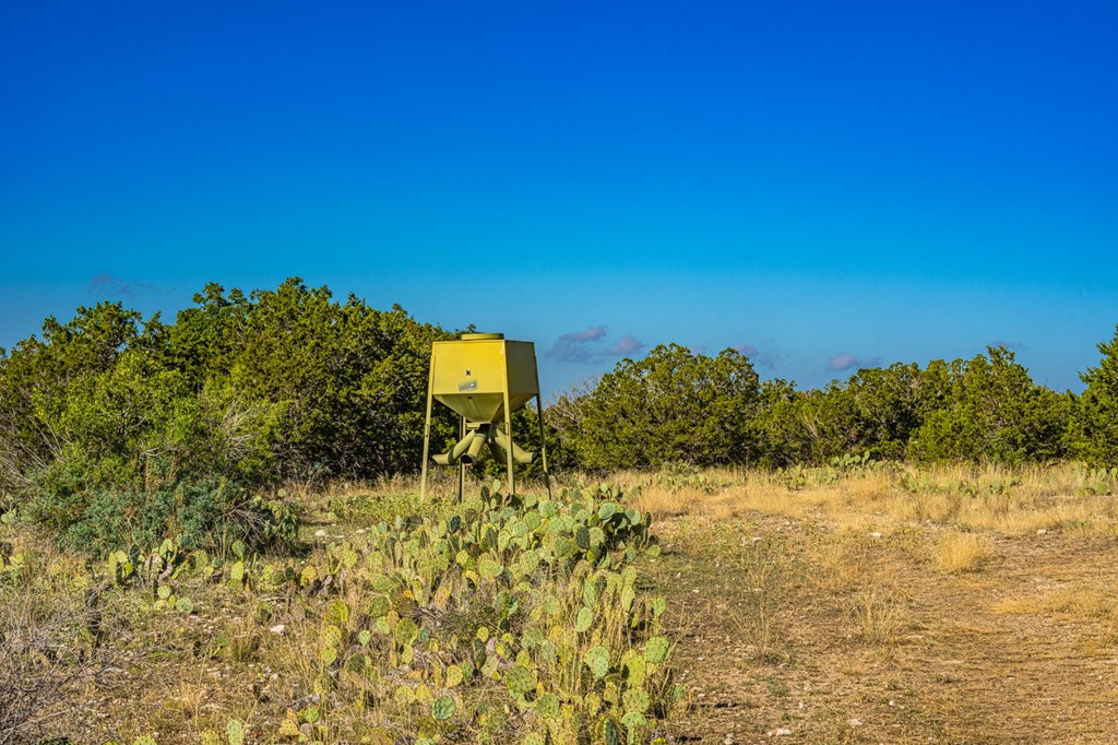 29 NE Big Draw Drive