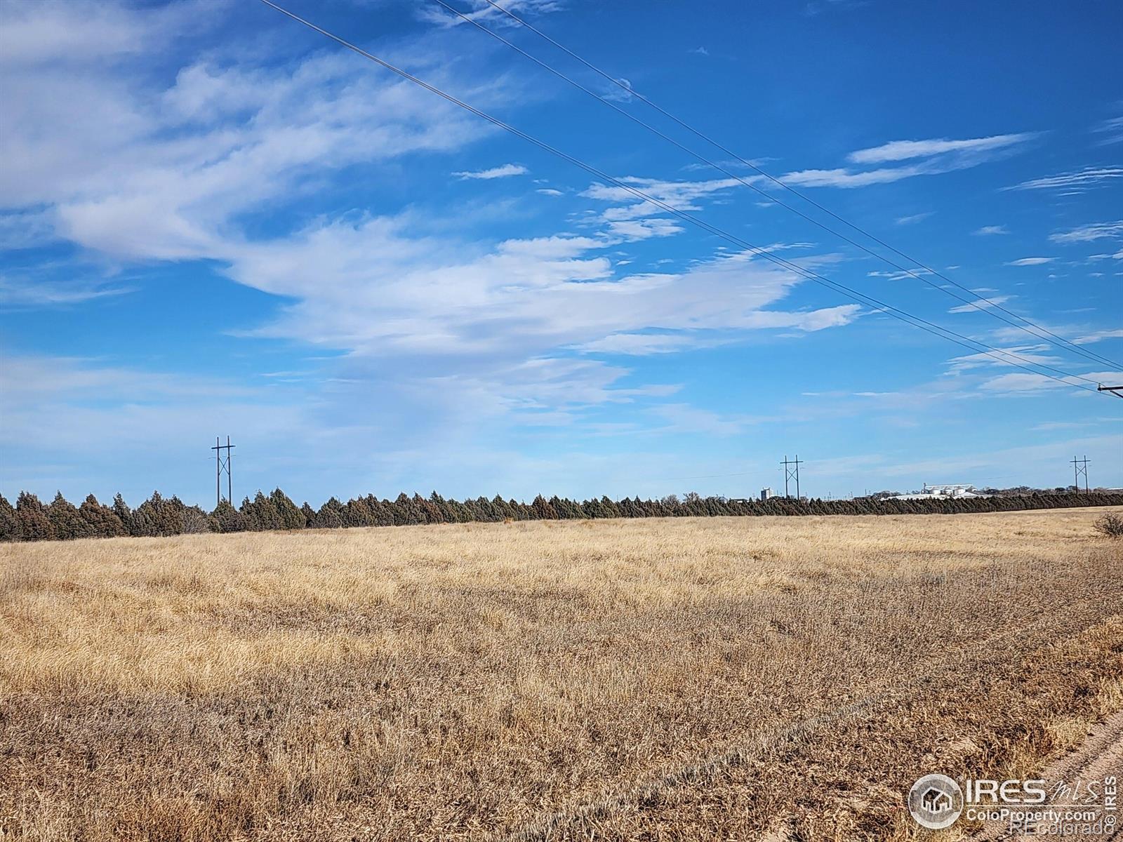 THE LAST 35 ACRES OF THE GODDARD LAND JUST WEST OF HOLYOKE CITY LIMITS! LAND CAN BE CERTIFIED ORGANIC FOR CROPS AND LIVESTOCK. WATER COULD BE HAULED TO PROPERTY FOR HORSES OR 4H ANIMALS, OR NEW OWNER CAN APPLY FOR A FULL USE DOMESTIC WELL FOR WATER TO SERVICE UP TO 3 HOUSES, AND OUTSIDE WATERING OF UP TO 1 ACRE OF YARD/GARDEN/TREES. MATURE TREES PROVIDE A BUFFER TO ADJACENT HIGHWAY 6 ON THE NORTH SIDE OF PROPERTY AND FRENCHMAN CREEK TO THE SOUTH OF PROPERTY. SOME FENCING IN PLACE BETWEEN NEIGHBOR TO THE WEST. ELECTRIC AND NATURAL GAS SERVICE NEAR PROPERTY OR PROPANE AVAILABLE WITH BUYER CONTRACTING SERVICE. BUYER TO VERIFY POSSIBLE LAND USE WITH COUNTY, POSSIBLE WELL WATER USE WITH COLORADO DIVISION OF WATER AND AVAILITY OF POSSIBLE UTILITIES TO PROPERTY. PROPERTY IS BEING SOLD AS-IS, WHERE-IS, NO WARRANTIES, NO GUARANTEES. ACCESS IS SHORT .1 MILE OF GRAVEL ROAD OFF PAVED HIGHWAY 6.