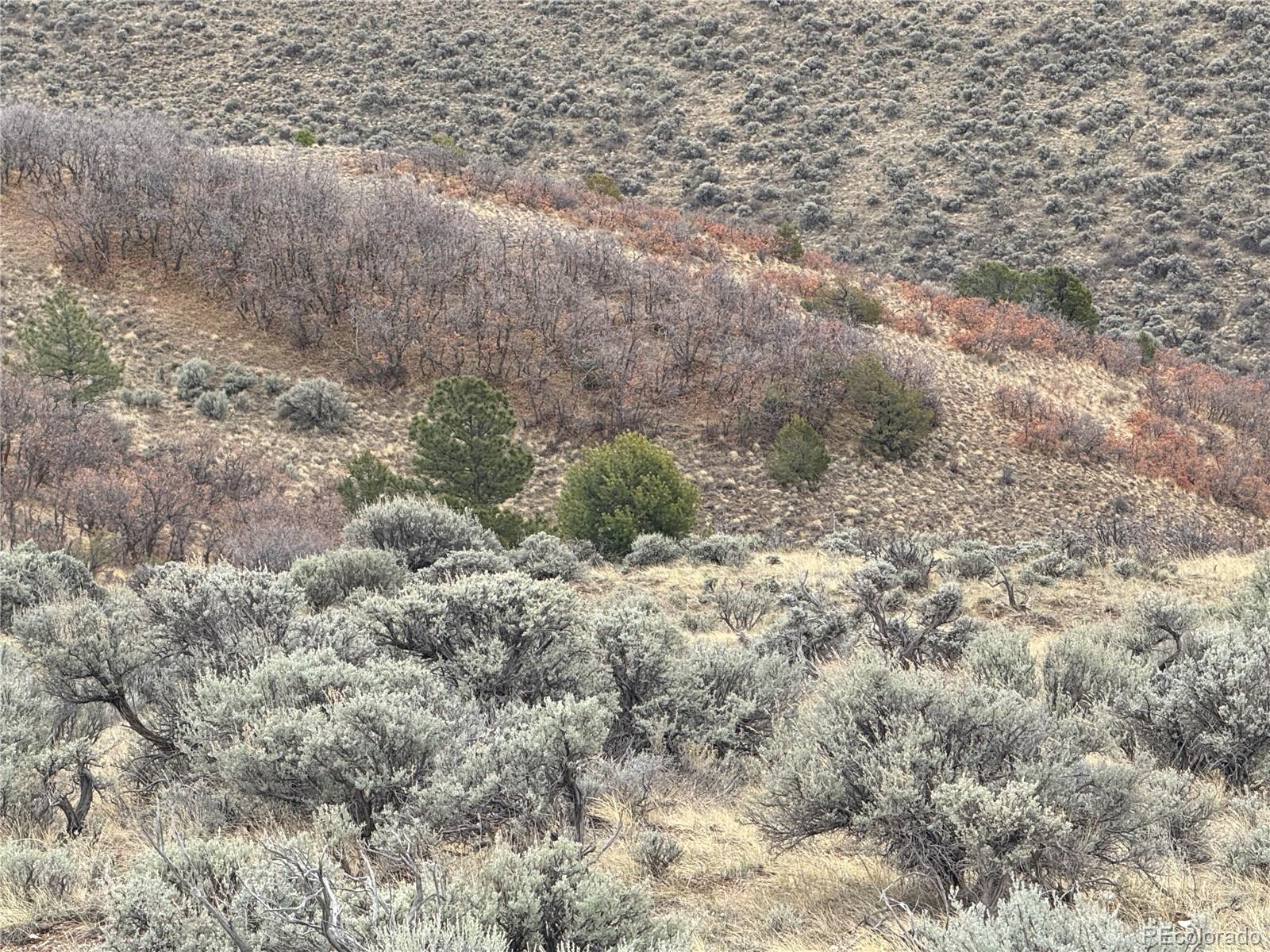 Lot 297 Boothby Lane