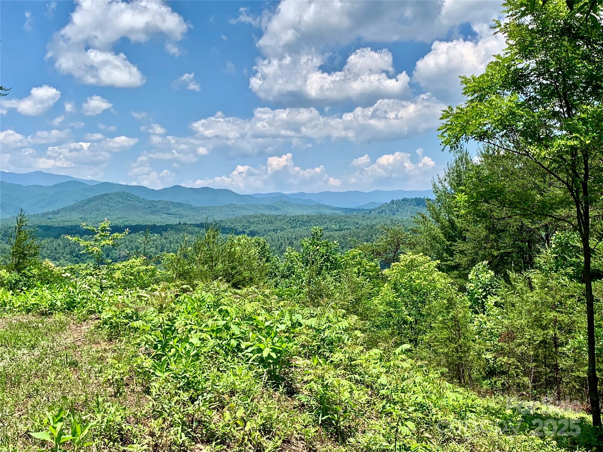 1879 Johns Ridge Parkway Lot 163