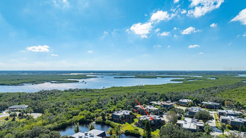 Property View 50
