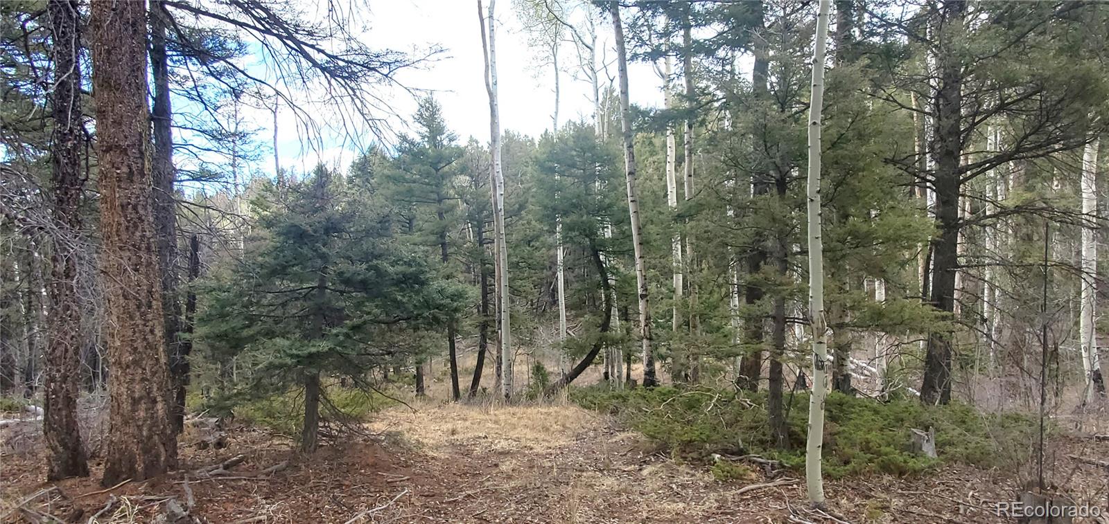 Lot 6090 Vreeland Road