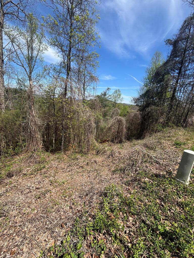 Build your mountain retreat in the desirable Fox Ridge community located in the Hiawassee Dam area of Murphy, NC.  This vacant lot offers an open mountain view and is ready for your dream home with underground utilities, shared well access and paved roads already in place.  Enjoy the security of a gated community in an established neighborhood.  An adjacent lot is also available, providing the opportunity for additional privacy or expanded space.  Ideal for a full-time residence or mountain getaway.