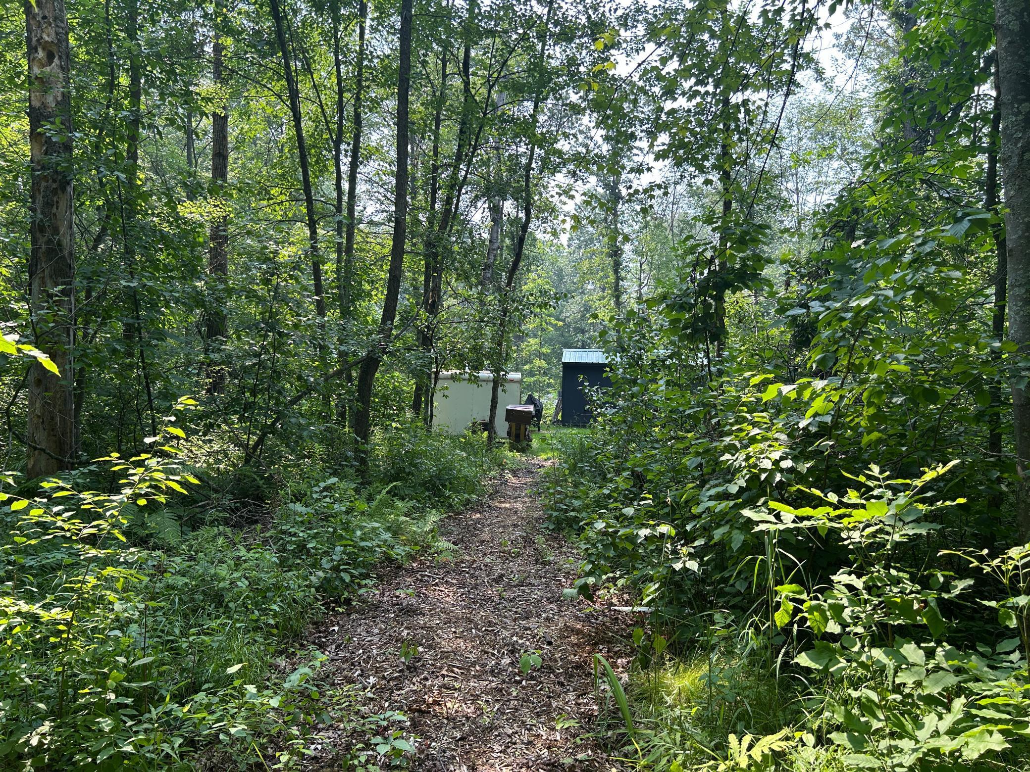266XX Birch Trail