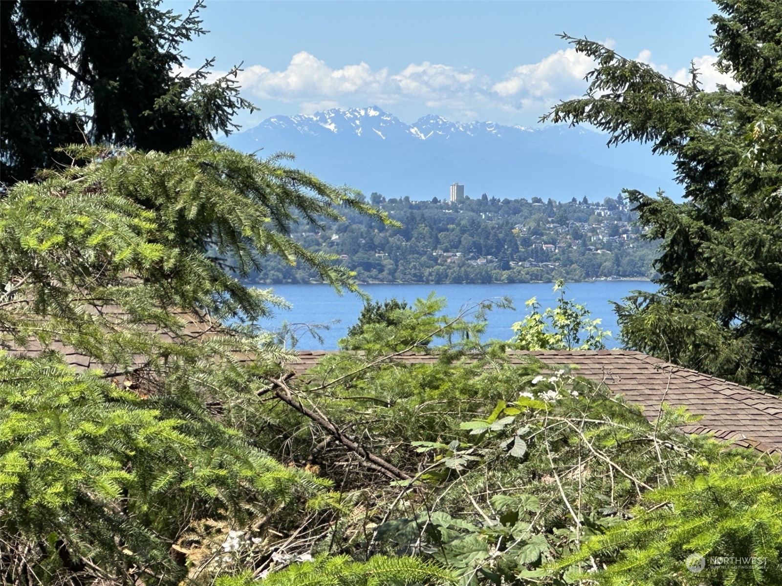 Small cabin on a 9600 sq ft fairly level lot, with a lovely view of Lk Washington, Seattle and the Olympics! Home is livable, with a tenant currently in it (please do not disturb), but value is definitely in the land! Great location with a very romantic private lane into this and two other homes! Looking for a unique setting with a gorgeous view?? You just found it!!   USE 8410 SE 45TH FOR GPS TO SITE.