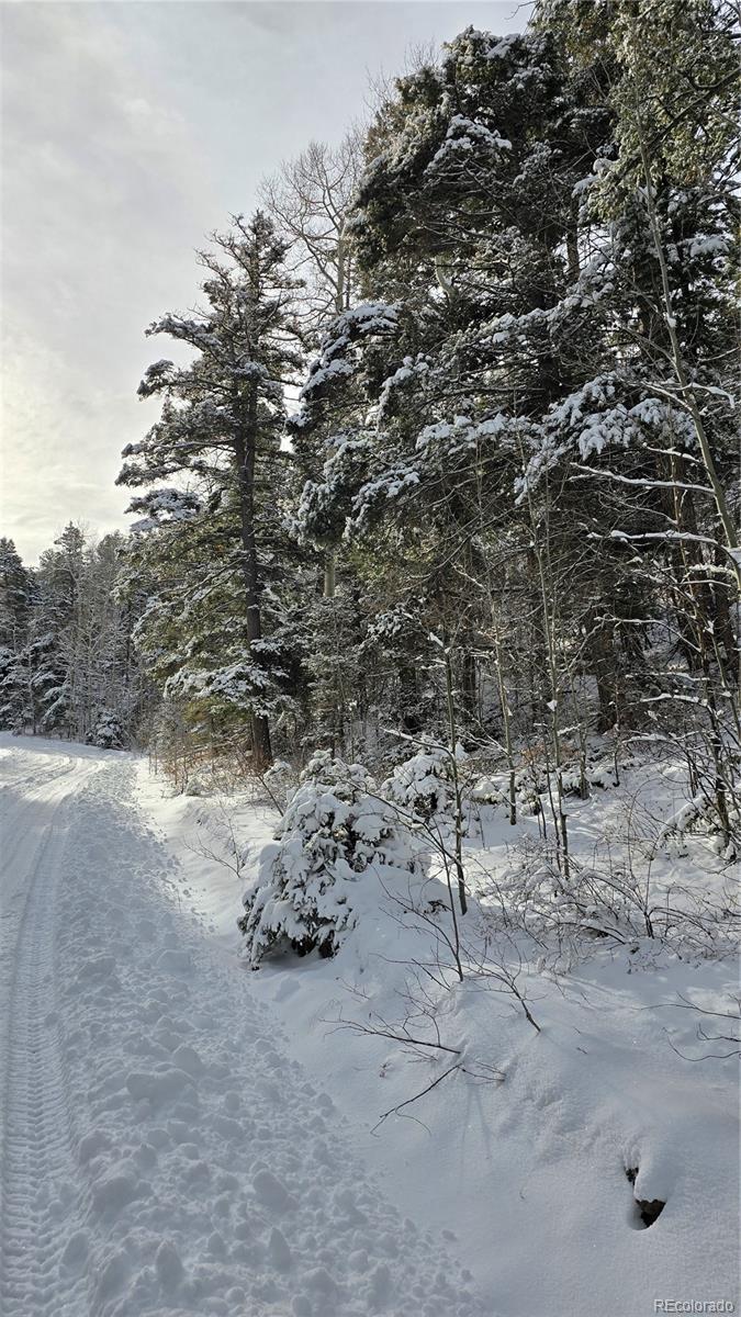 Lot 5540 Joy Road