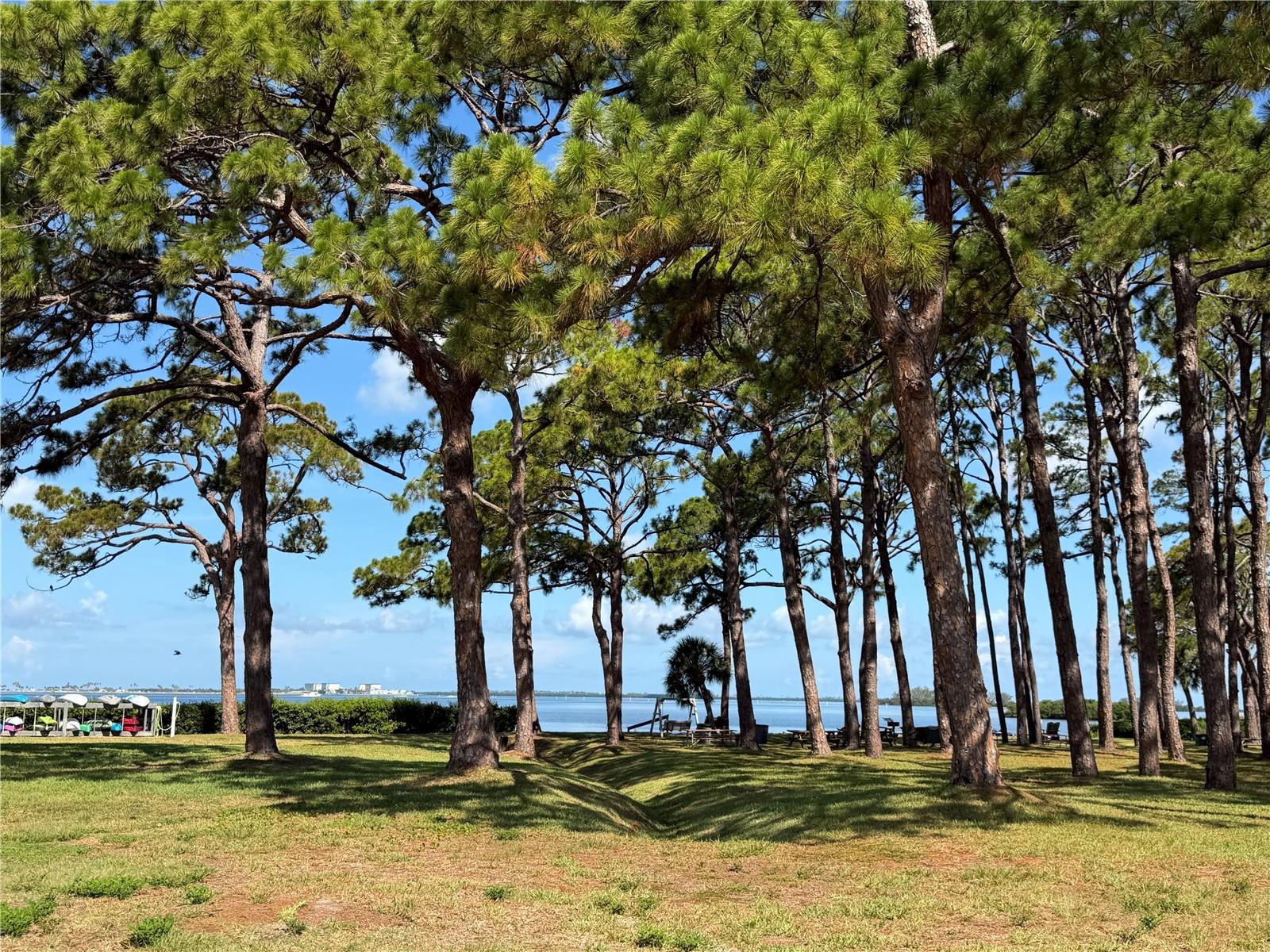2700 Bayshore Boulevard 2108