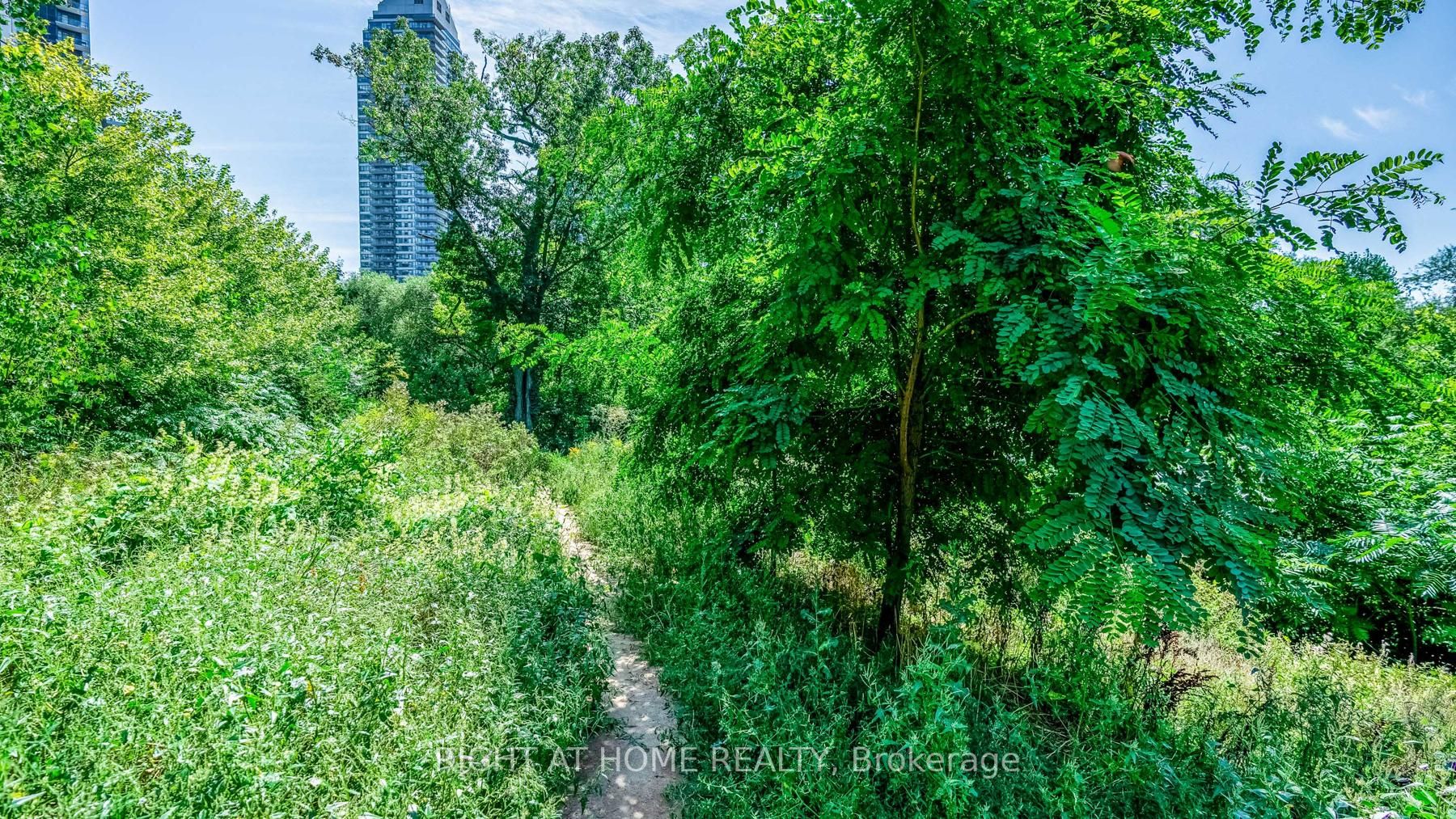 36 Park Lawn Rd 1308