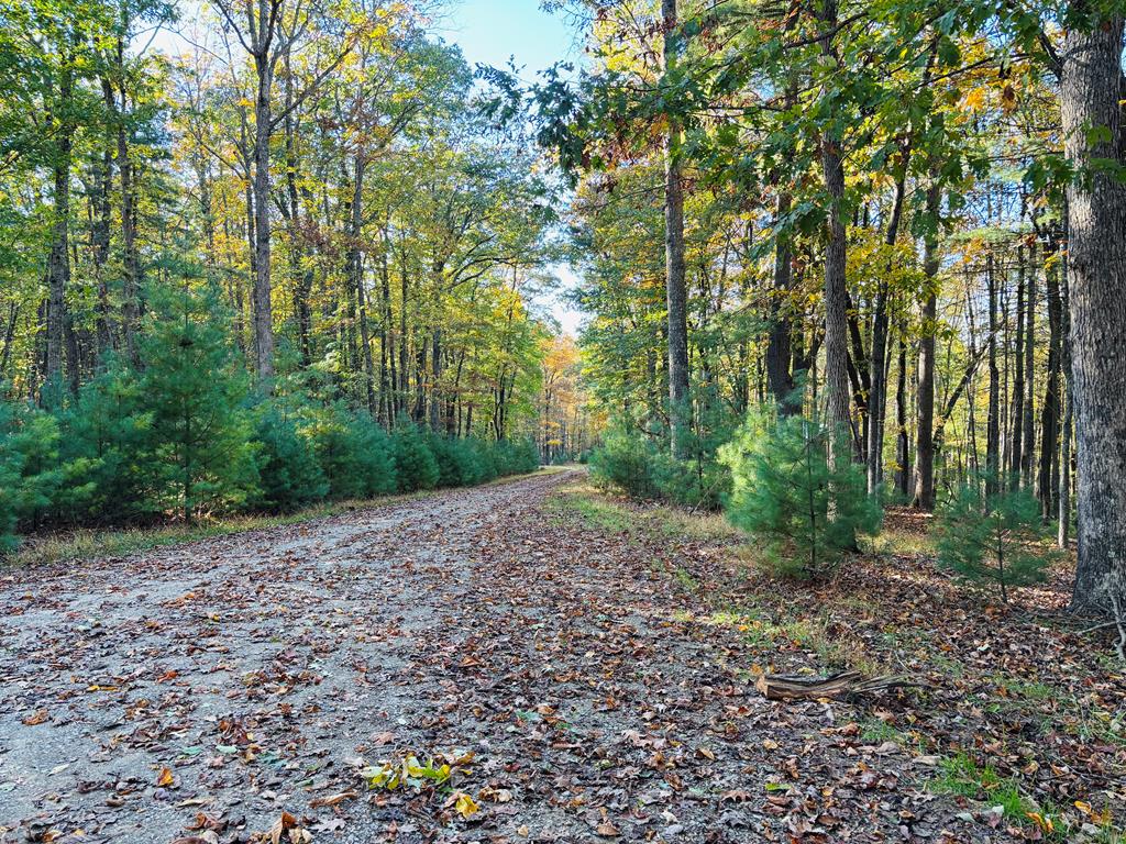Nearly 15 acres of peaceful countryside await at the end of Cove Lane in Woodlawn, VA. This property offers the perfect mix of privacy and convenience, located approx. 15 minutes from I-77. The land lays level to gently sloping with multiple prime building sites and two clear streams that add to its beauty and versatility. Already divided into four separate lots, this acreage provides flexibility for future development or investment while still feeling like one private retreat. The property is open and easy to walk, with minimal undergrowth and no thick briars, making it ideal for exploring or planning your build. Whether you're searching for a peaceful homesite, mountain getaway, or investment opportunity, this property offers endless potential in a highly desirable location.