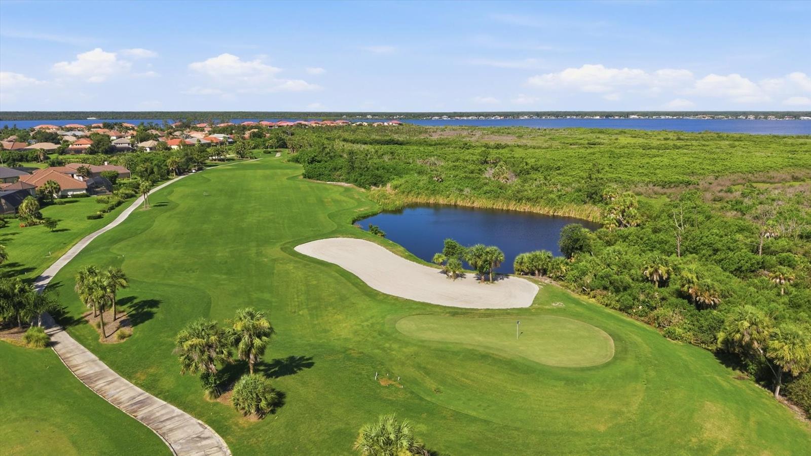 13392 Golf Pointe Drive