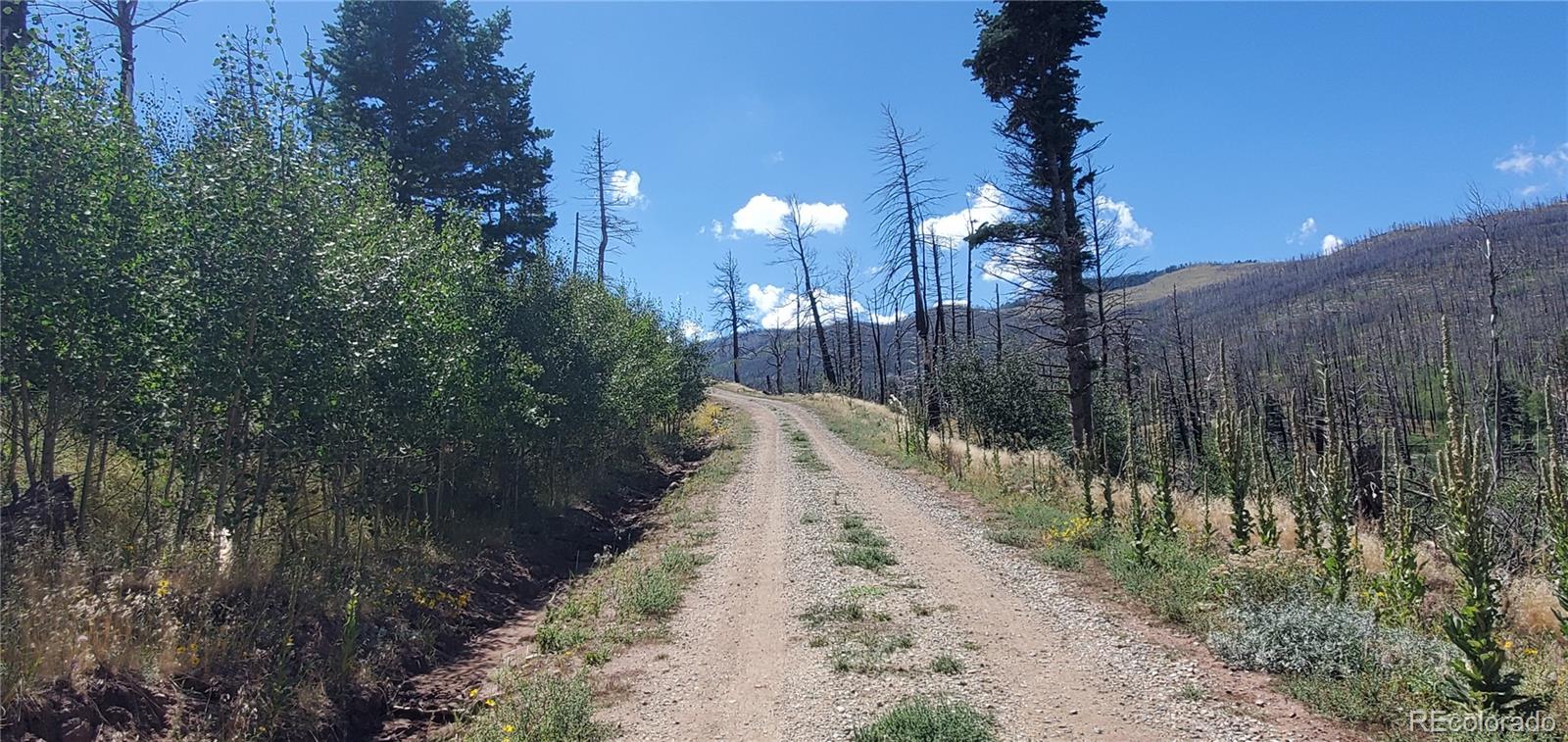 Lot 1064 Reed Lane