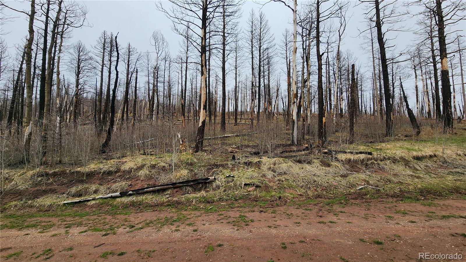 Lot 1735 Mara Loop