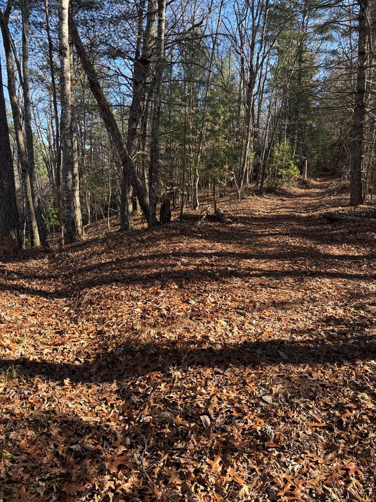 Murphy NC – 1.61+/- Acres Vacant Land For Sale – Borders USFS Land! Build Your Dream Home on this beautiful Flat knoll with  Long Range Mountain Views, Located in a private setting in Majestic Mountain, this beautiful mountain property offers Exceptional long-range views overlooking US Forest Service.  If you're looking for peace, privacy, and access to outdoor recreation, this land checks all the boxes! Enjoy direct access to thousands of acres of U.S. Forest Service land right from your back yard—perfect for hiking, nature watching, or exploring. High-speed fiber optic internet is available, and electric utilities are nearby for easy connection, making this an ideal spot for your mountain getaway, cabin, or full-time home. Just about 10 miles from Downtown Murphy, you're close to shopping, restaurants, medical facilities, and entertainment, yet you'll feel a world away in this serene mountain retreat. Love to fish or boat? You're only minutes to the year-round Hanging Dog Boat Ramp giving you easy access to beautiful Lake Hiwassee, known for its excellent fishing, boating, and scenic beauty. Whether you're looking to build now or invest in land for the future, this parcel is a rare find — There is a shared Driveway with Lot 63 also for sale, that does not affect the views & Privacy,  Don't miss this incredible opportunity — Seller asking $59,500.  Owner Financing Available - Make an offer today!