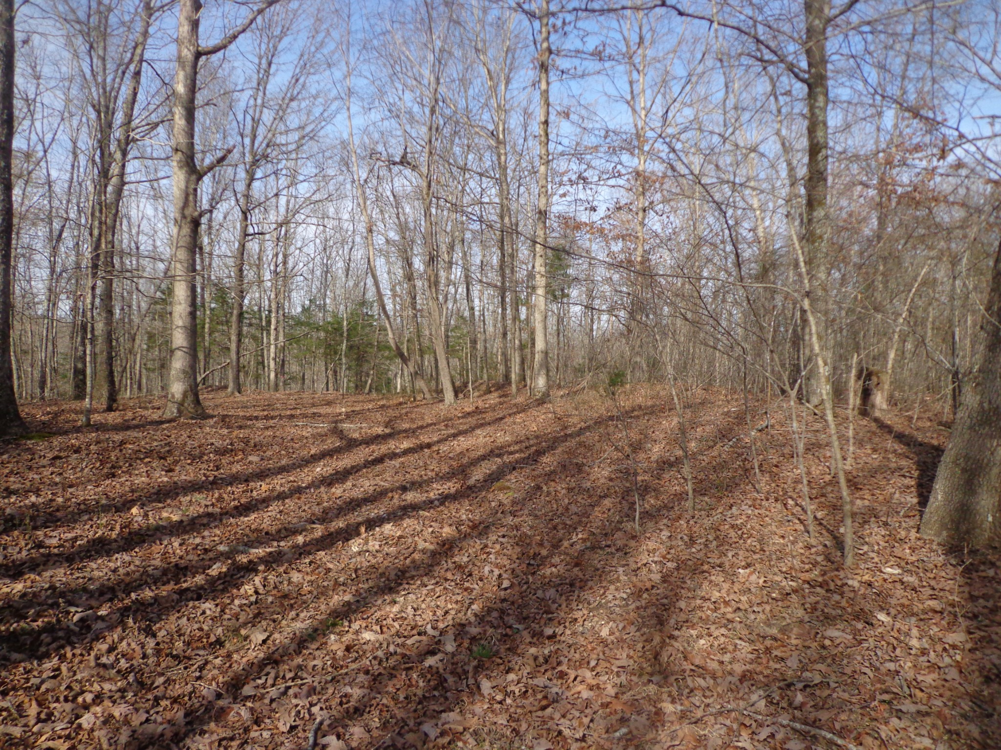0 Ennis Branch Road