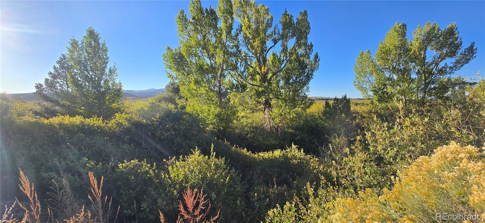 Lot 4248 Ehrenclow Road