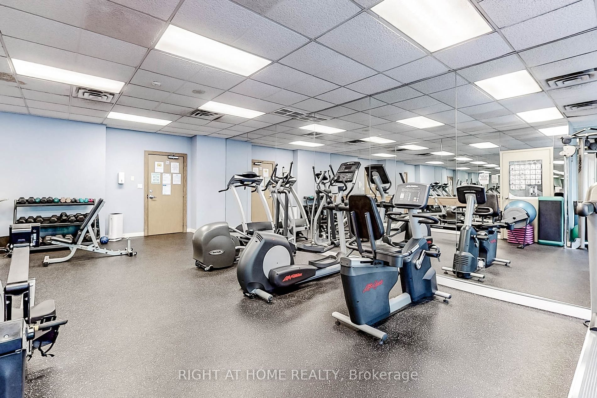233 Beecroft Rd 319