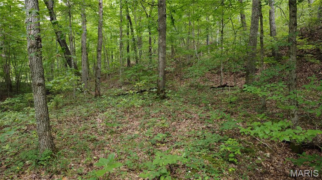 10223 San Juan Trail