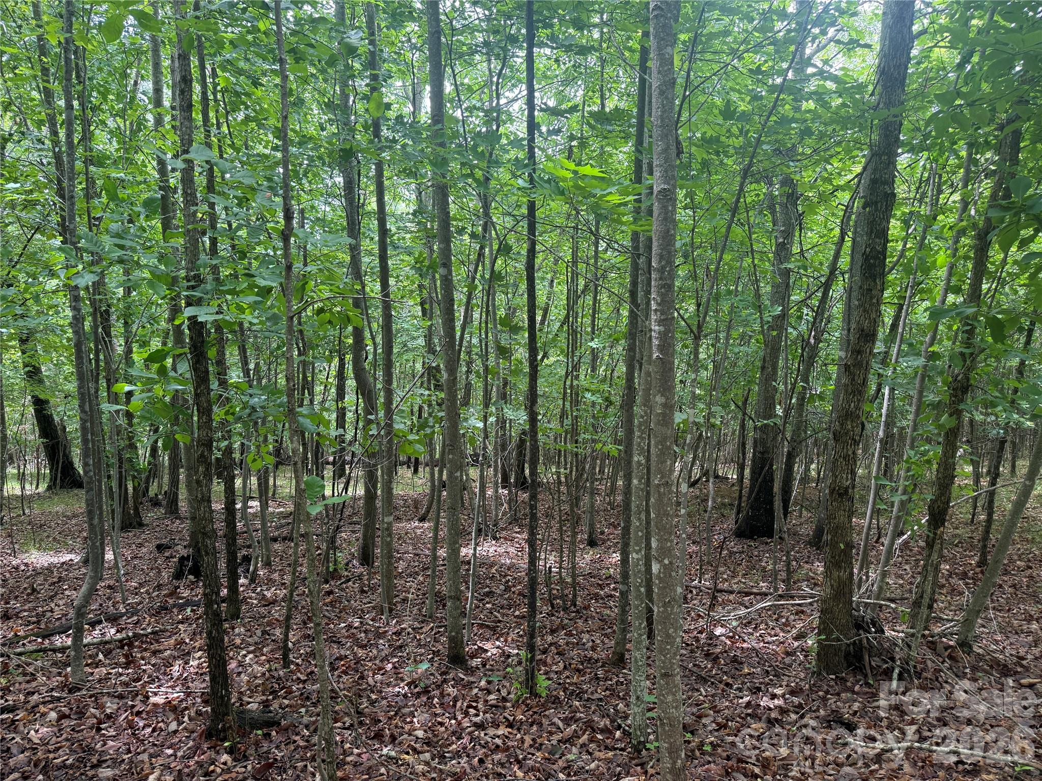 V/L Scenic Vista Drive 246