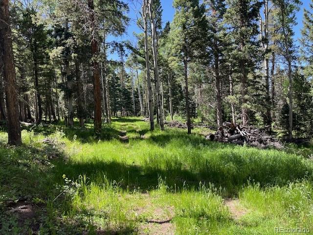 Lot 2684 Coder Place