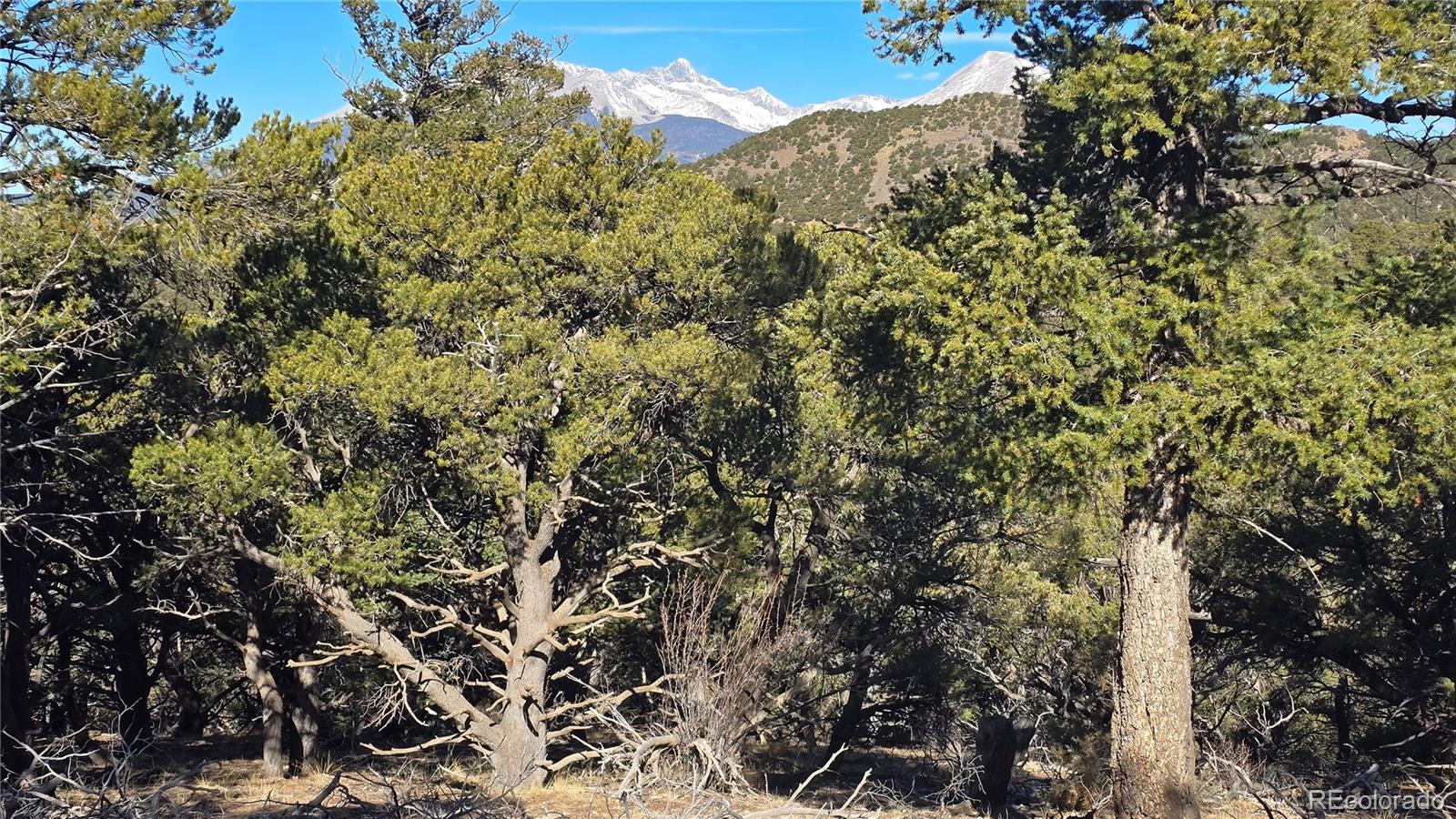 Lot 4510 Iannelli Road