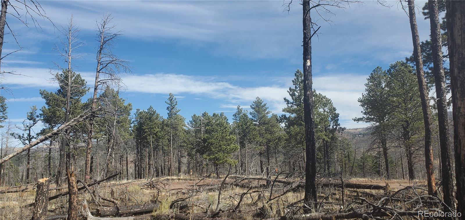 Lot 585 Leslie Loop