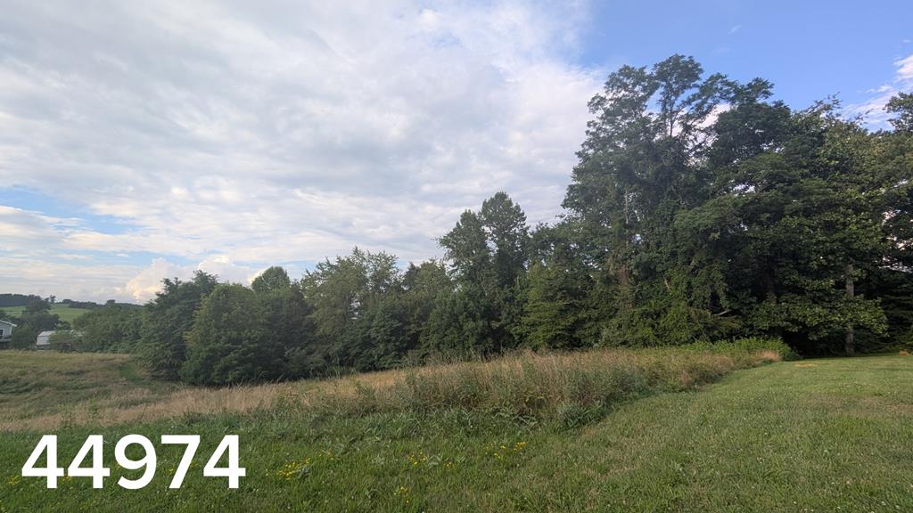 Discover the opportunity to build your dream home in Old Trail Village, a desirable neighborhood conveniently located near the Town of Abingdon. These beautiful building lots offer a peaceful setting with a mix of cleared and wooded landscapes, while still providing easy access to shopping, dining, outdoor recreation, and Interstate 81. Enjoy the convenience of available underground utilities, including public water, sewer, and electric, along with paved county road access. Located in the highly sought-after Abingdon area, Old Trail Village offers the perfect blend of privacy and accessibility. Whether you are looking to build your forever home or invest in property, these lots provide an excellent opportunity to become part of this growing community.
