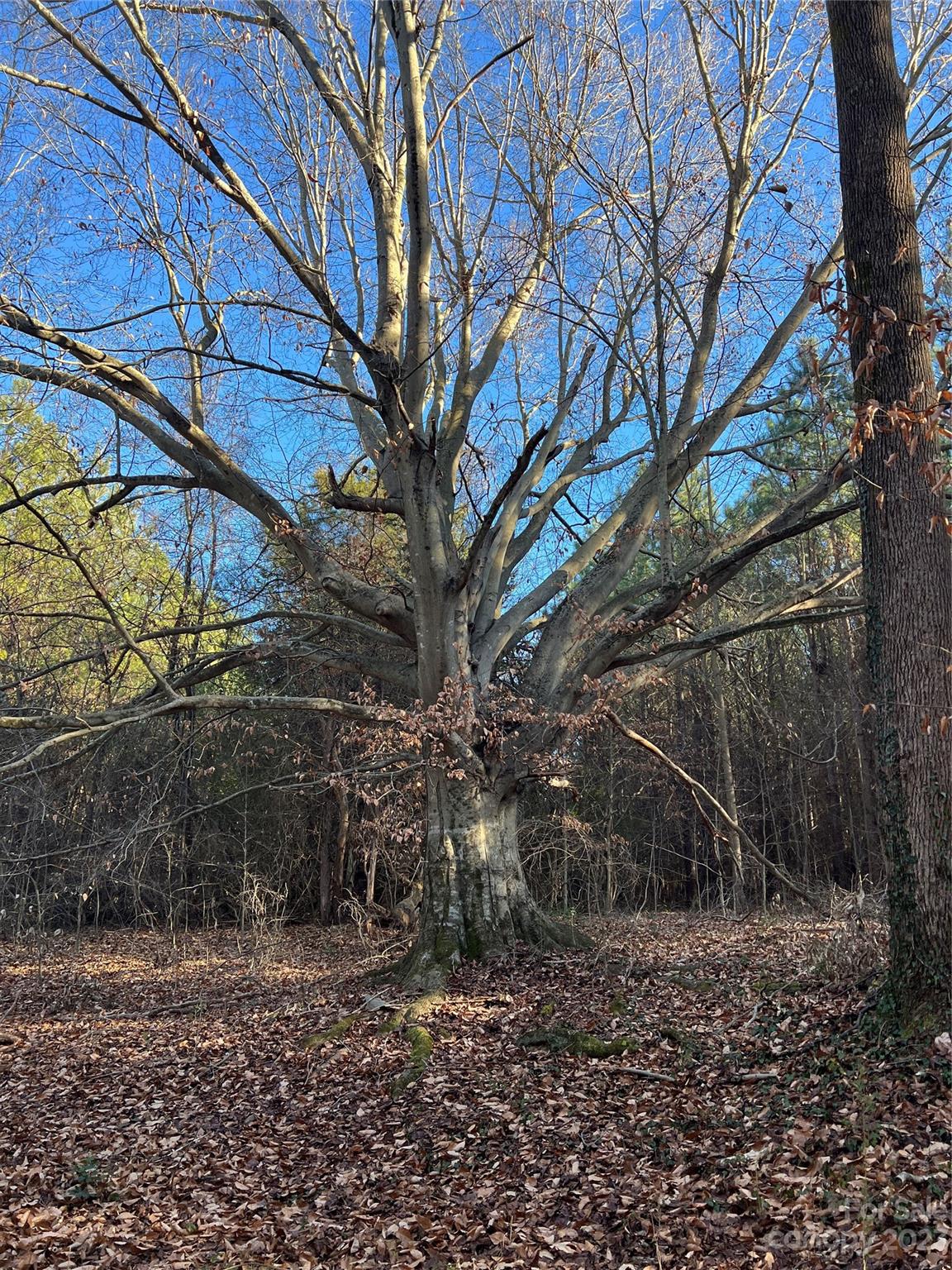 678 Turnersburg Highway